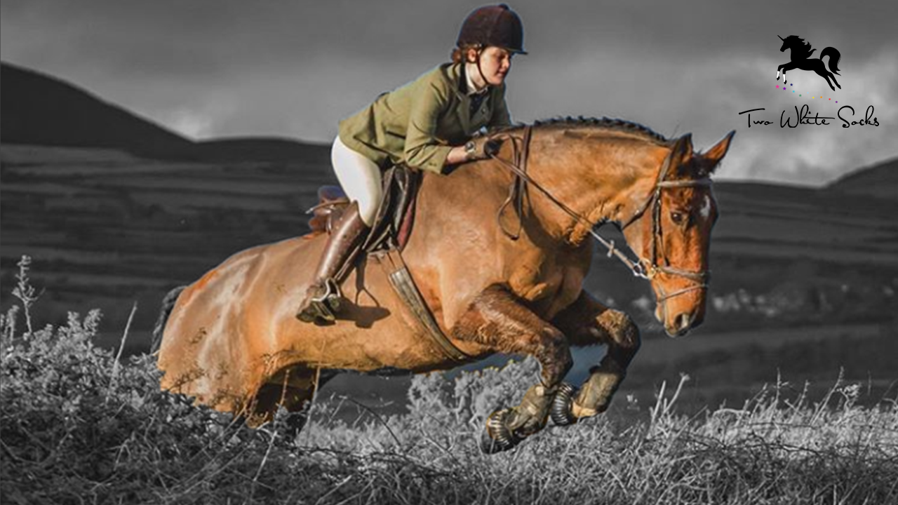 Unicorn Spotlight: Lily Warburton